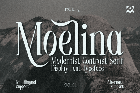 Moelina: The Bold Serif Typeface That Elevates Campaign Visuals